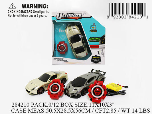 11X10X3"R/C VOICE CTL IC SPORT CAR
